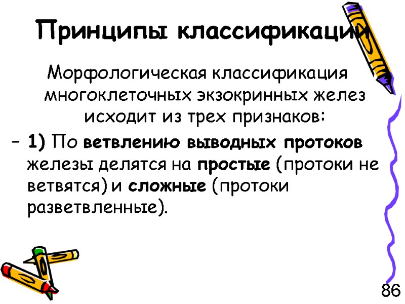 Принципы классификации Морфологическая классификация многоклеточных экзокринных желез исходит из трех признаков: – 1) По